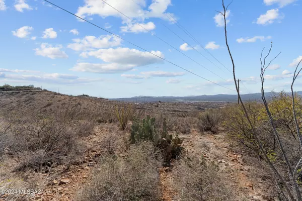 Rio Rico, AZ 85648,361 Camino Canoa  ## 25