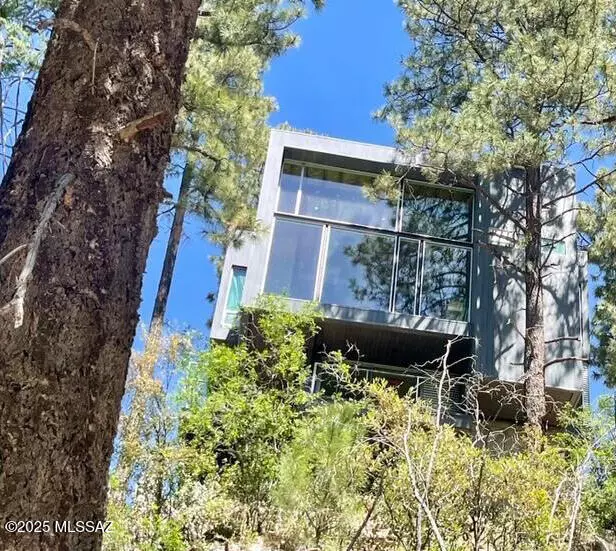 Mt. Lemmon, AZ 85619,12625 Ray Avenue