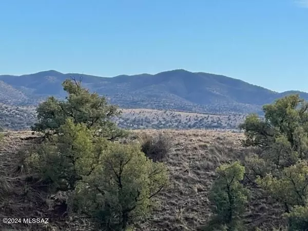 Sonoita, AZ 85637,00 Sierra Grande Ranch Road #2