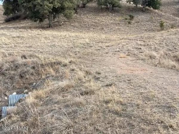 Sonoita, AZ 85637,00 Sierra Grande Ranch Road #2