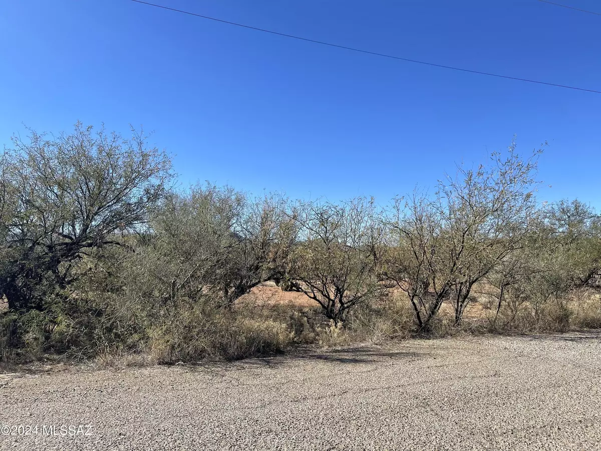 Rio Rico, AZ 85648,1830 Via El Paso  #9