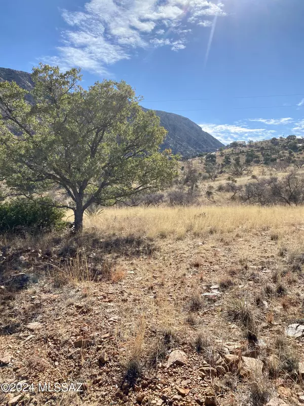 Bisbee, AZ 85603,TBD N Hannon Ranch Lane