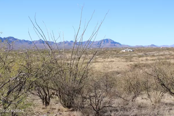 Rio Rico, AZ 85648,1756 Ruta Caravela  #17