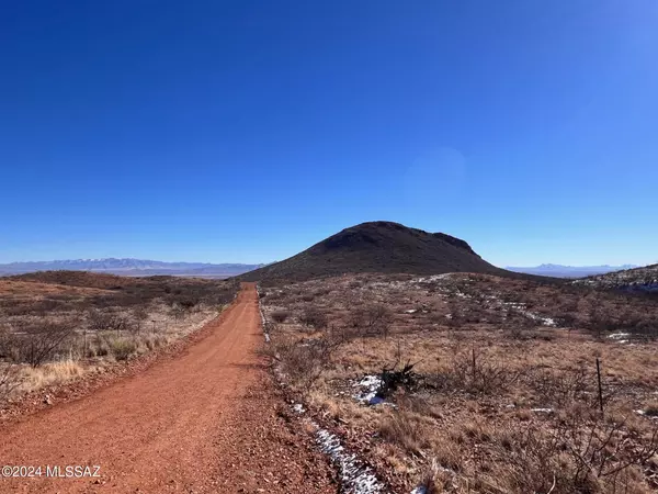 Elfrida, AZ 85610,39.08 ac W Eagle Trail #105