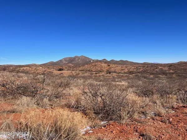 Elfrida, AZ 85610,39.08 ac W Eagle Trail #105