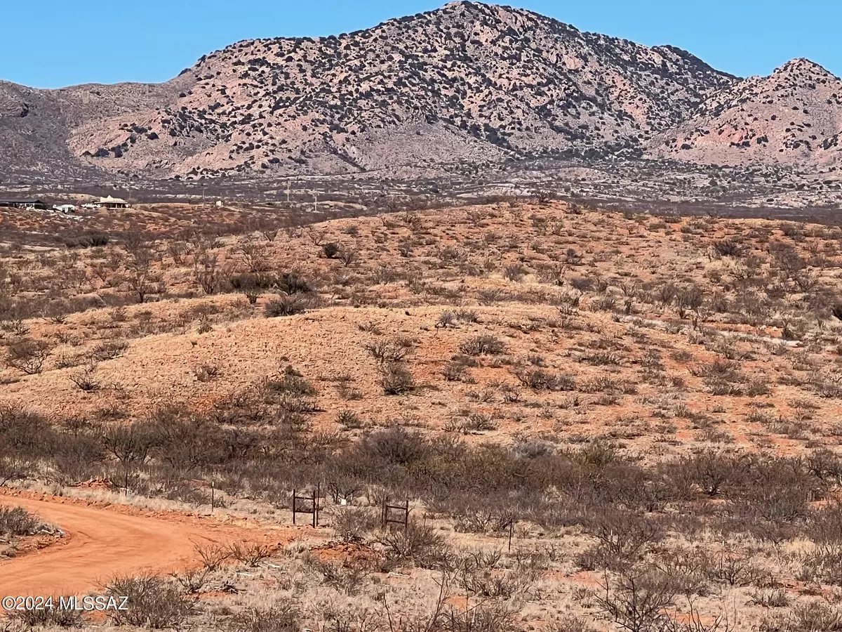 Elfrida, AZ 85610,39.08 ac W Eagle Trail #105