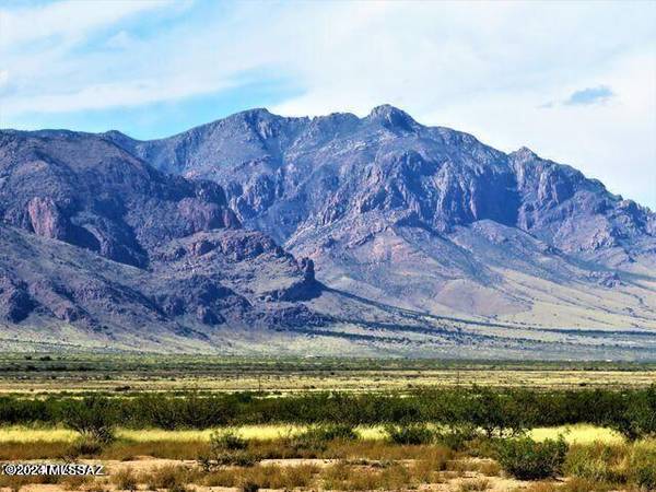 Three Triangle Ranches 20.5 Acres B  #37, Portal, AZ 85632