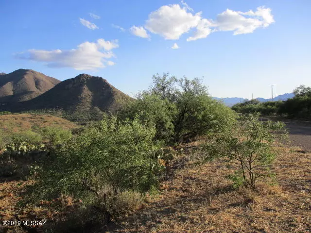 Rio Rico, AZ 85648,164 Circulo Frutas  #7