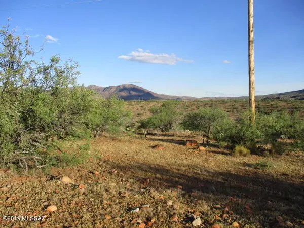 Rio Rico, AZ 85648,1935 Camino Carina  #8