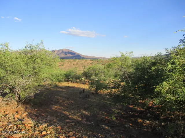 Rio Rico, AZ 85648,1935 Camino Carina  #8