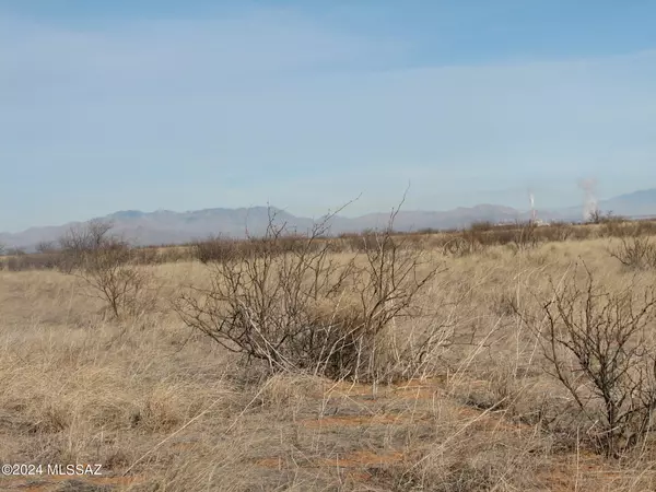 Pearce, AZ 85625,2 Lots Lehigh Street #4