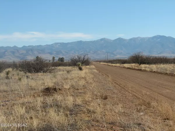 Pearce, AZ 85625,20 ac S Ash Creek Road #---