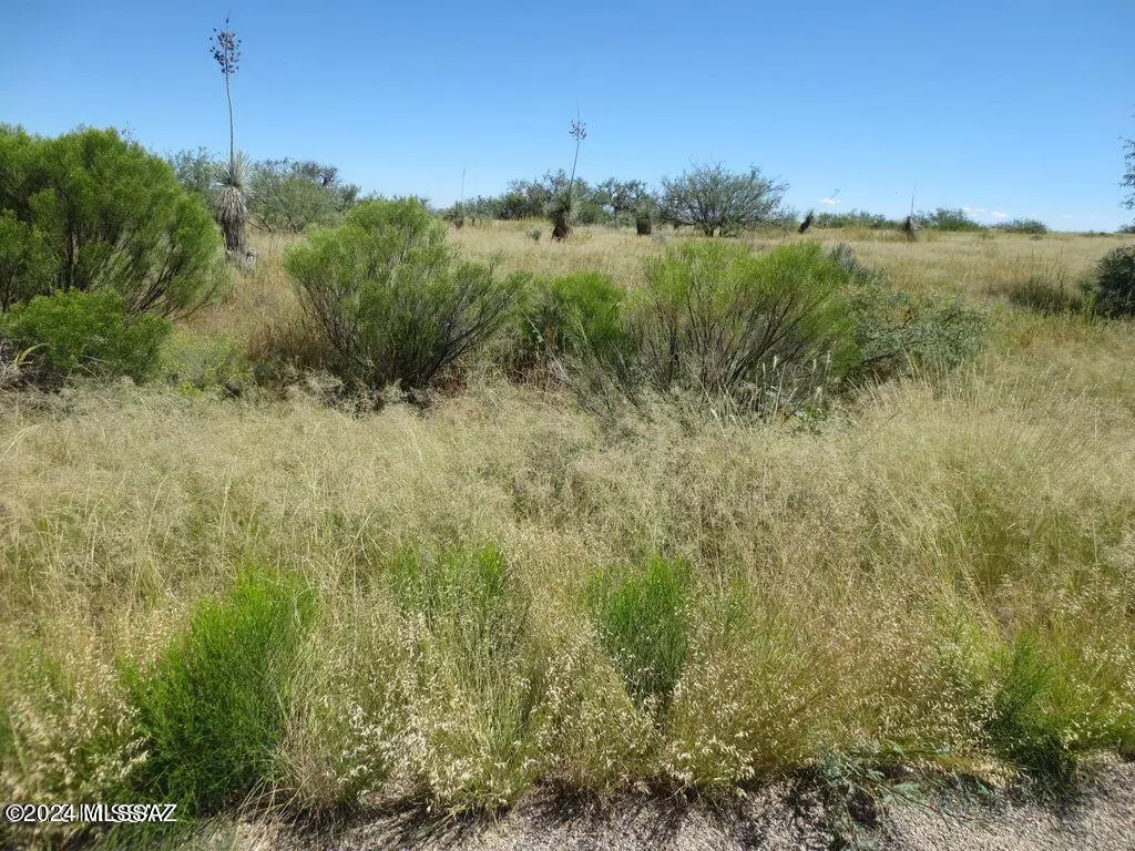 Benson, AZ 85602,3063 W Conaway Circle #200