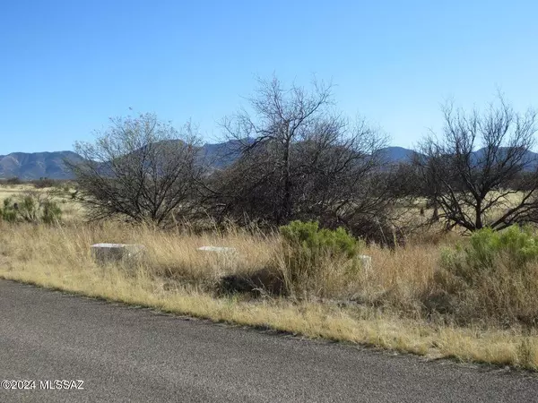 Benson, AZ 85602,3063 W Conaway Circle #200