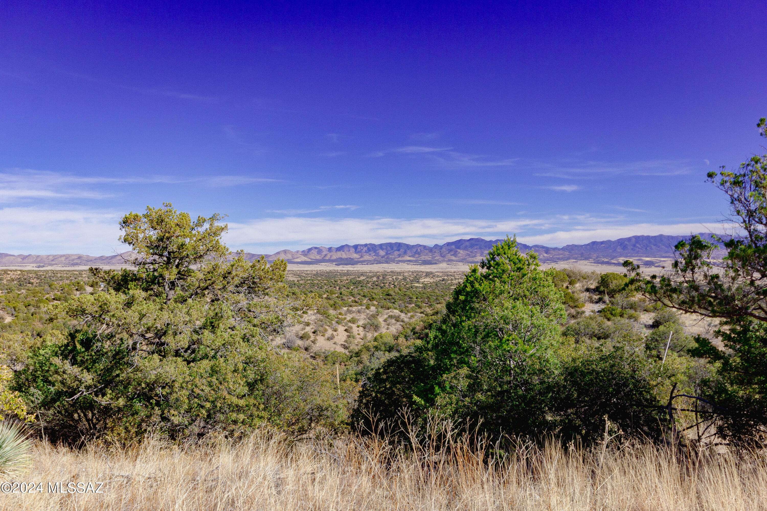 TBD Bagley Road #17C, Patagonia, AZ 85624