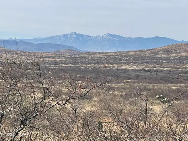 lot 44 N Double U Ranch  #44, Elfrida, AZ 85610