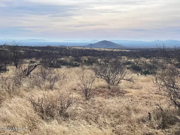 Elfrida, AZ 85610,lot 45 N Double U Ranch  #45