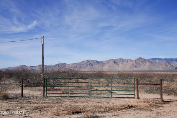 40.74 Acre N Dill Road #302, Portal, AZ 85632