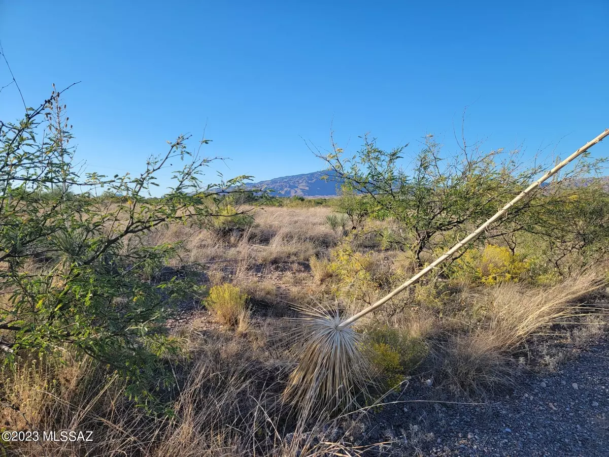 Benson, AZ 85602,W Cactus Blossum Court #410