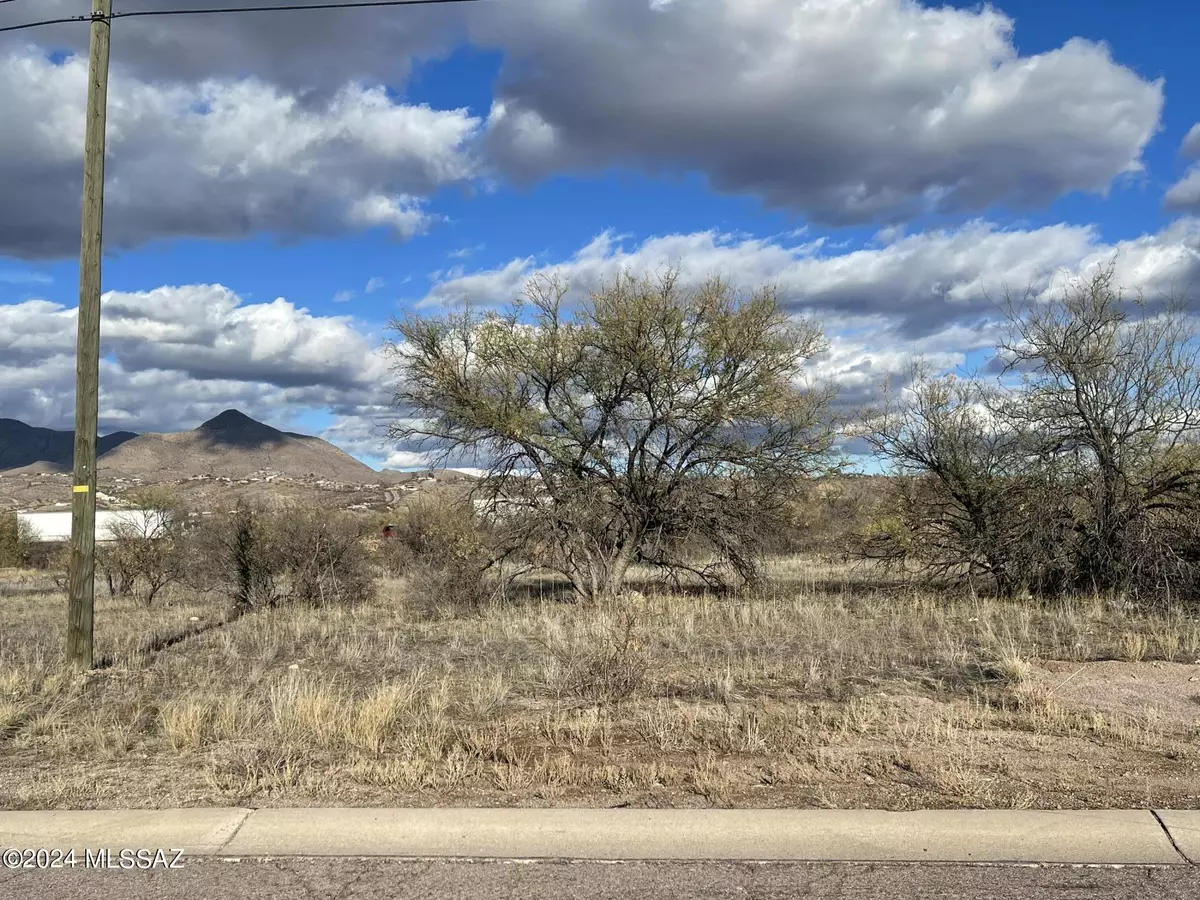 Rio Rico, AZ 85648,1151 Circulo Mercado