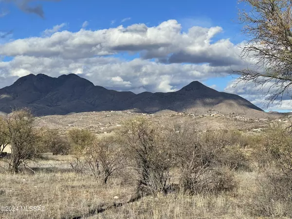 Rio Rico, AZ 85648,1151 Circulo Mercado