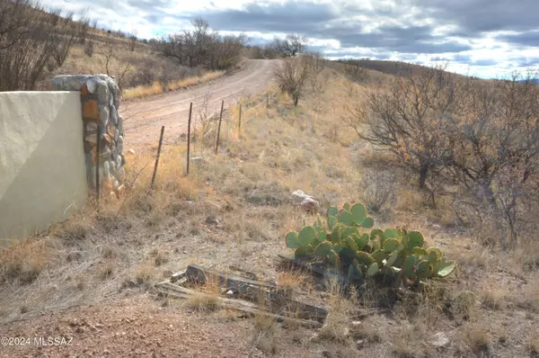 Patagonia, AZ 85624,20 Camino Los Vientos