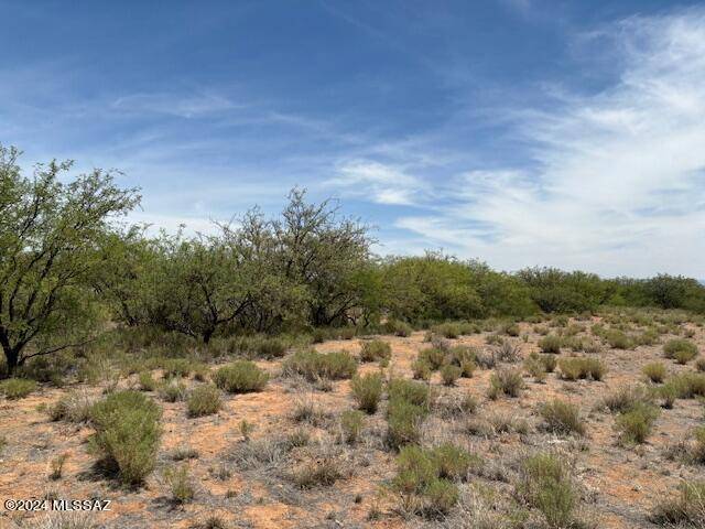 Pearce, AZ 85625,2 lots SW Yale Street #3/4