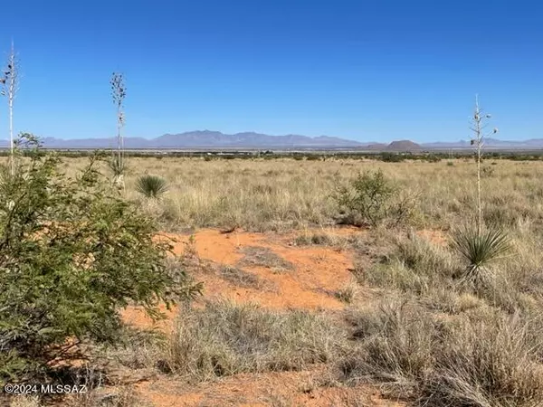 Pearce, AZ 85625,TBD 2 Lots on Justin Street #11/12