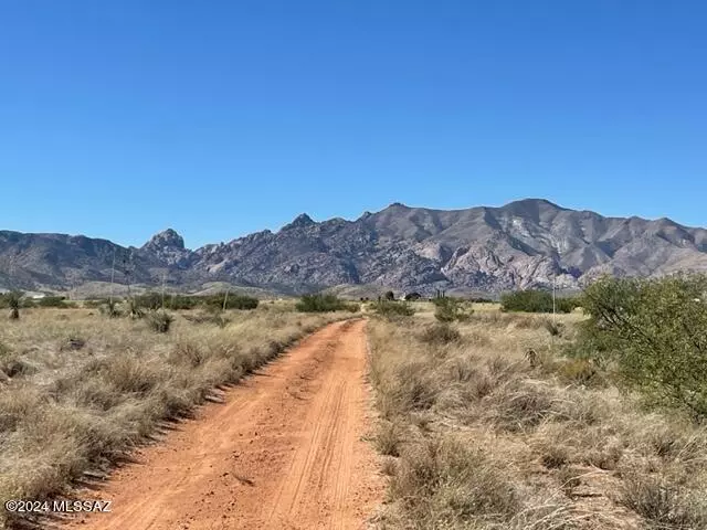 Pearce, AZ 85625,TBD 2 Lots on Justin Street #11/12