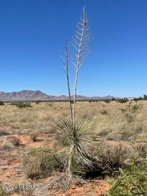 Pearce, AZ 85625,TBD TAX ID 117-06-032 Street #2