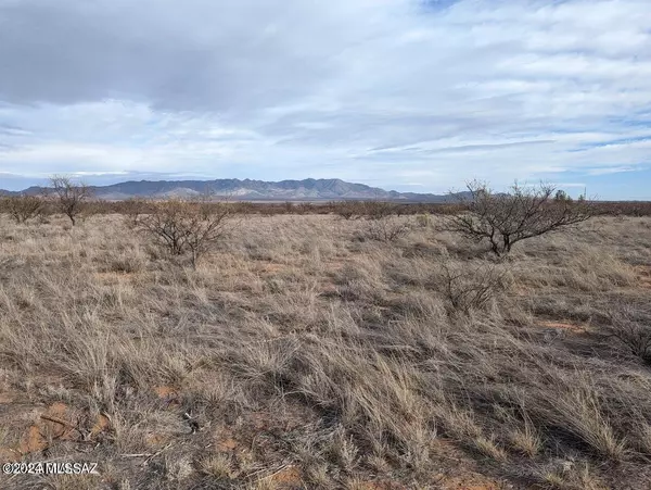 Hereford, AZ 85615,Lot B S Windsock Road #0