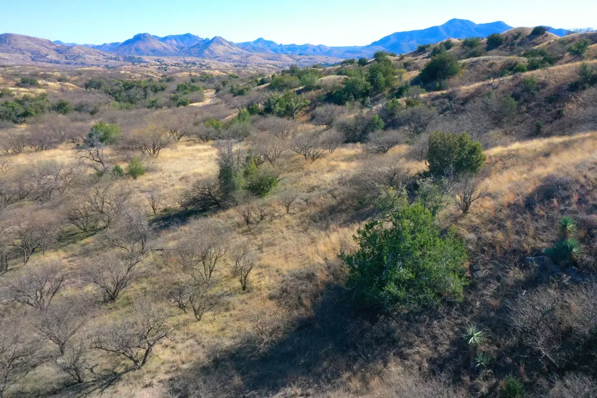 Patagonia, AZ 85624,820 Side Oats Lane ##196