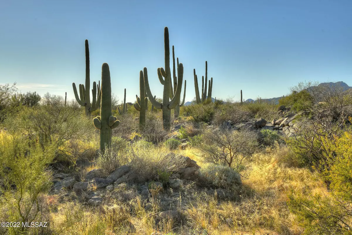 Oro Valley, AZ 85755,14451 N Giant Saguaro Place #32