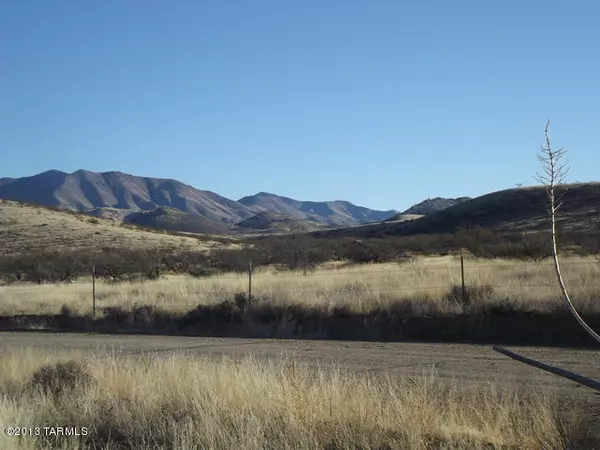 Willcox, AZ 85643,TBD JEFFORDS Trail #31
