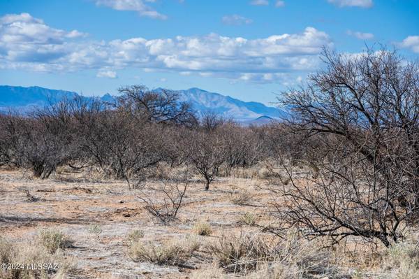 20 Acres Bumble Bee Lane  #-, Pearce, AZ 85625