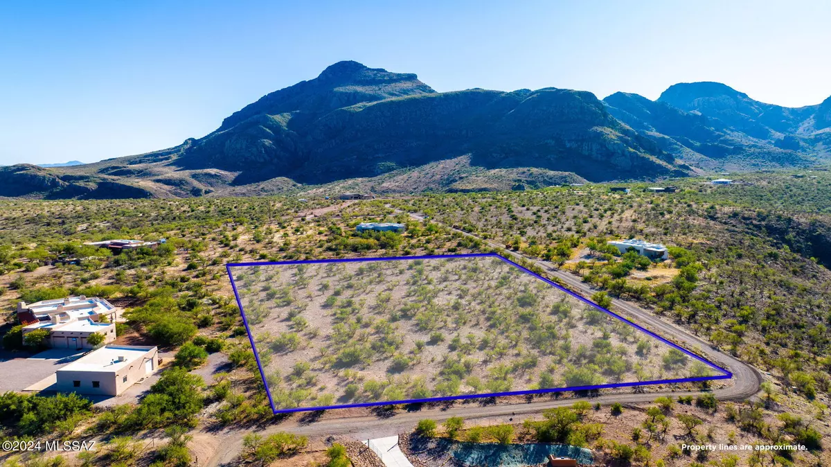 Tubac, AZ 85646,TBD Tirso Lane #010A