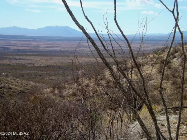 Bisbee, AZ 85603,Lot 1 W Red Mountain Road