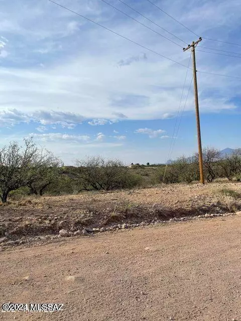 Rio Rico, AZ 85648,718 Camino Arruza  #40