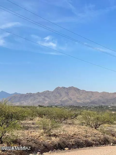 Rio Rico, AZ 85648,718 Camino Arruza  #40