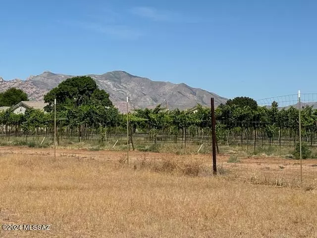 Pearce, AZ 85625,TBD E Christmas Tree Lane #.