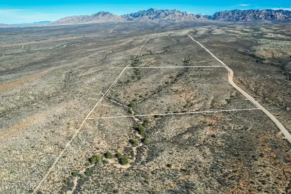 Pearce, AZ 85625,37 Acres E Dragoon Valley Road #181