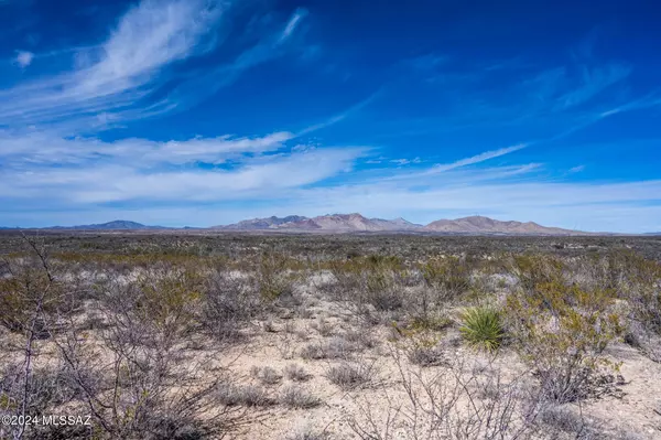 Pearce, AZ 85625,37 Acres E Dragoon Valley Road #181