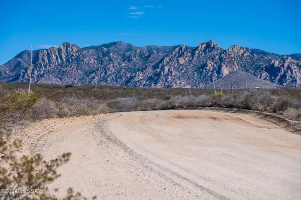 Pearce, AZ 85625,37 Acres E Dragoon Valley Road #181