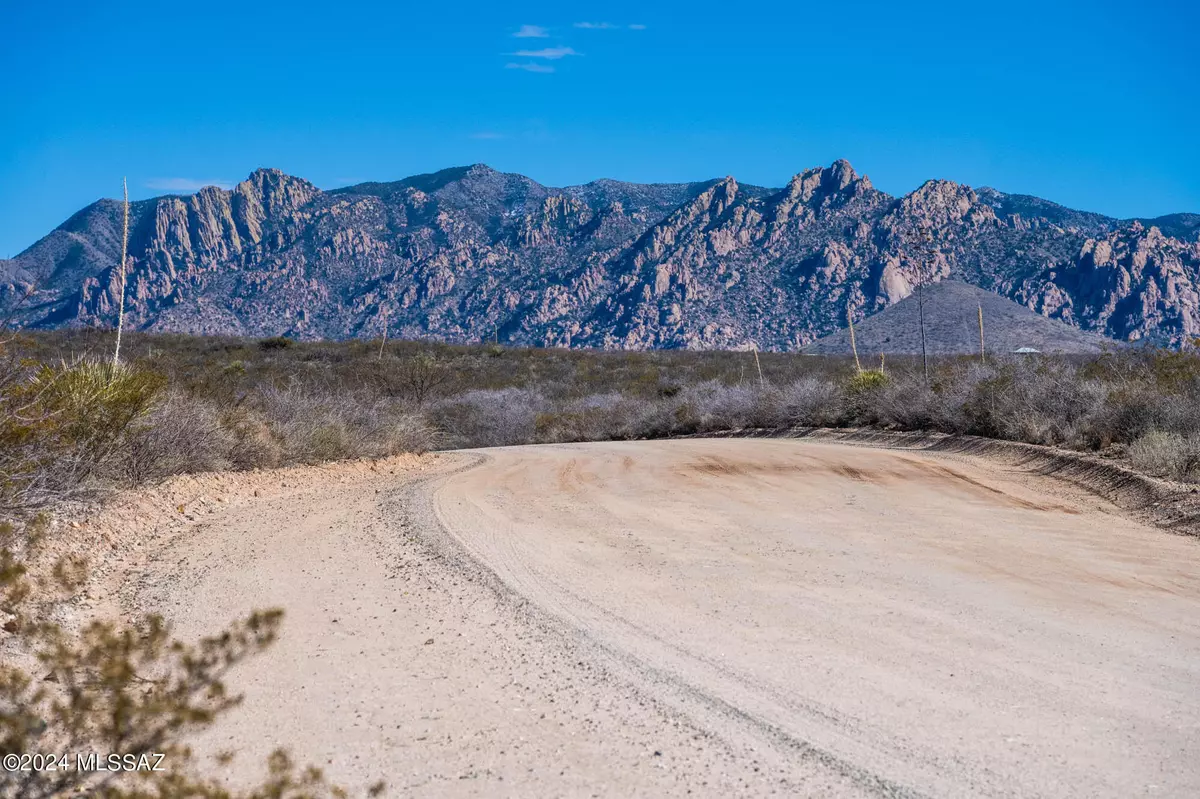 Pearce, AZ 85625,37 Acres E Dragoon Valley Road #181