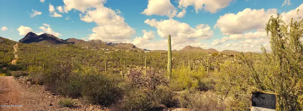 Tucson, AZ 85745,600BLK N Camino De Oeste #Lot B