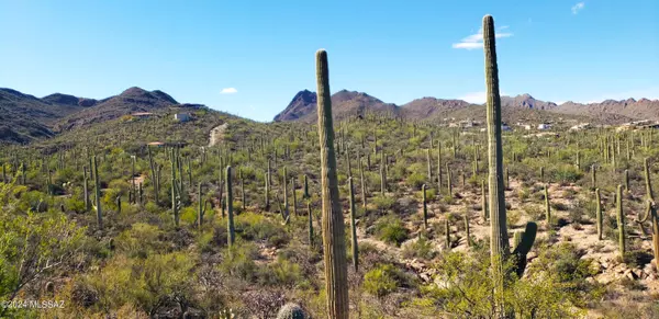 Tucson, AZ 85745,600BLK N Camino De Oeste #Lot B