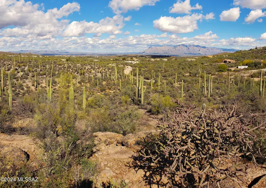 650BLK N Camino De Oeste  #Lot C, Tucson, AZ 85745