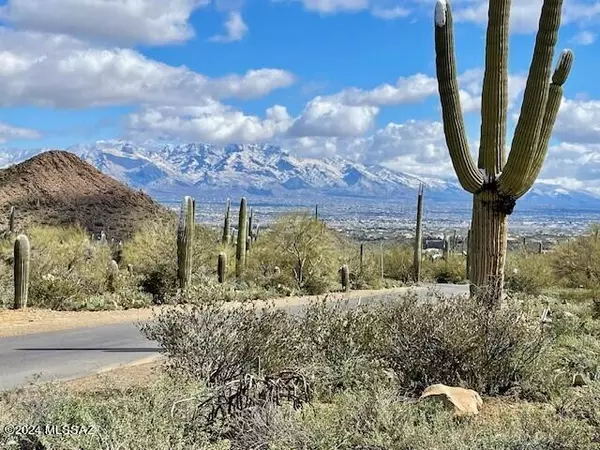 Tucson, AZ 85745,4262 N Broken Springs Trail