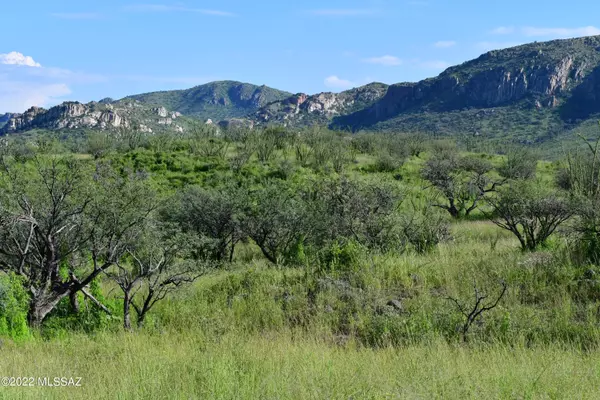 Tubac, AZ 85646,TBD Poorwill Canyon Road #31/1