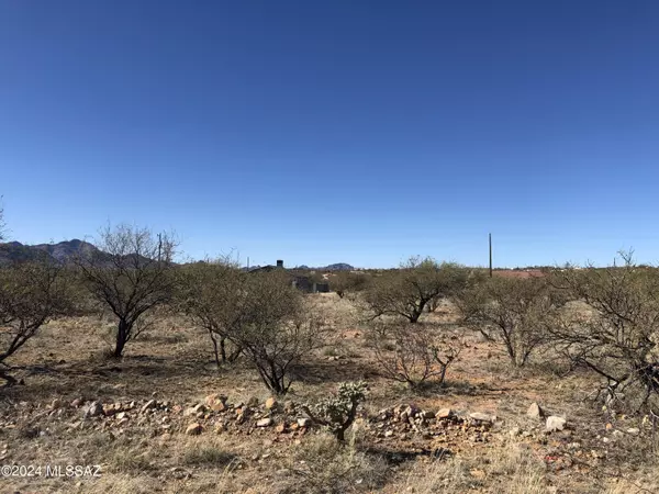 Rio Rico, AZ 85648,66 Galia Corte  #23